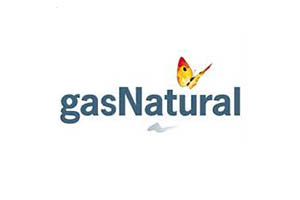 _0031_LOGO GAS NATURAL